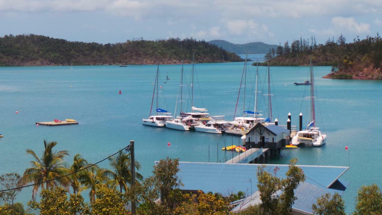 Yuengee Villas Shute Harbour Exterior foto